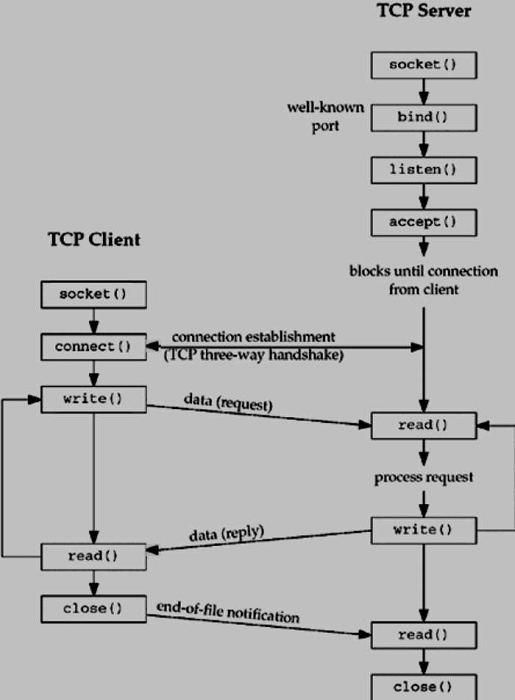 Network Socket Client Server Interaction