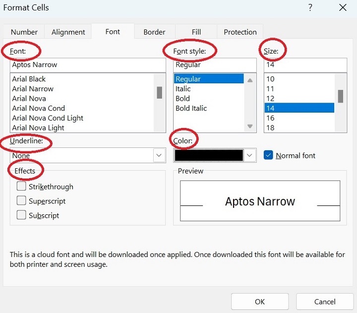 Font Tab in Excel