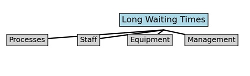 Ishikawa Diagram