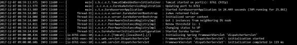 Application Started on Tomcat Port 8761
